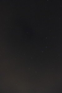 北斗七星・成田ゆめ牧場